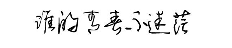 同學(xué)錄創(chuàng)意素材--誰的青春不迷茫